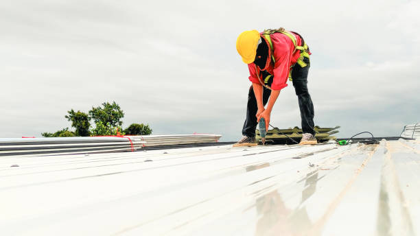Best Roof Maintenance and Cleaning  in Pacific City, OR